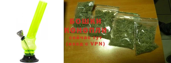 гашик Бронницы