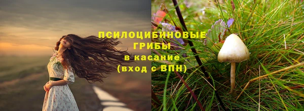 гашик Бронницы