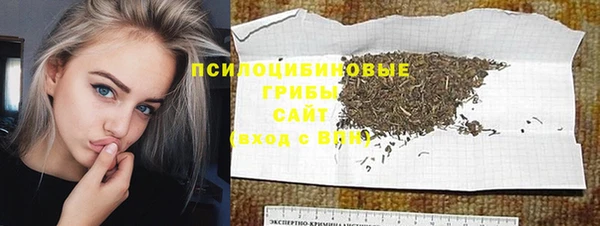 гашик Бронницы