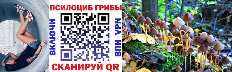 Галлюциногенные грибы Psilocybe  магазин продажи   Лиски 